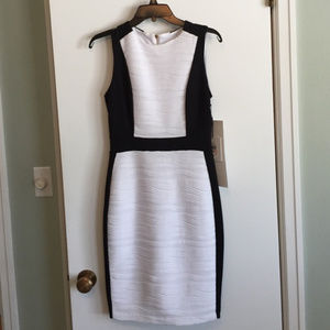 NWT White & Black Calvin Klein Dress
